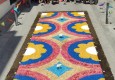 Catifa floral amb els Catifaires de L'Artesà | +TRÀD Primavera